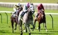 tomorrow's non-runners|Tomorrow's Non Runners and Horse Racing Going Report.